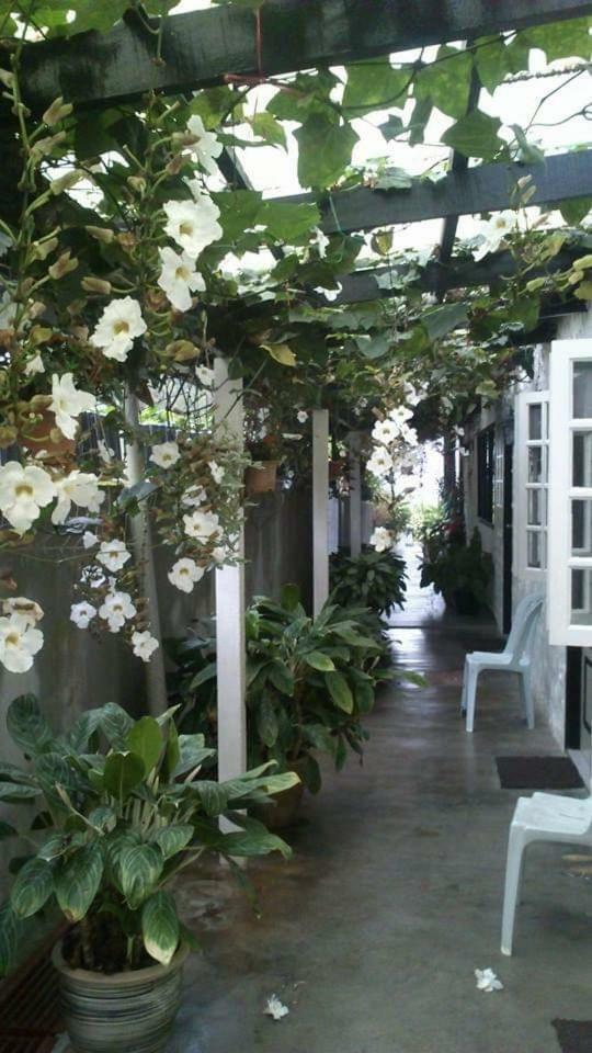 Hillview Inn Cameron Highlands Extérieur photo